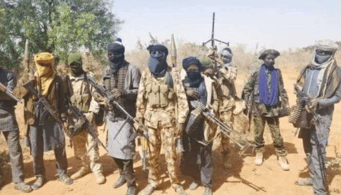 Terrorists attack Borno settlement, kill one, rustle 1,400 sheep