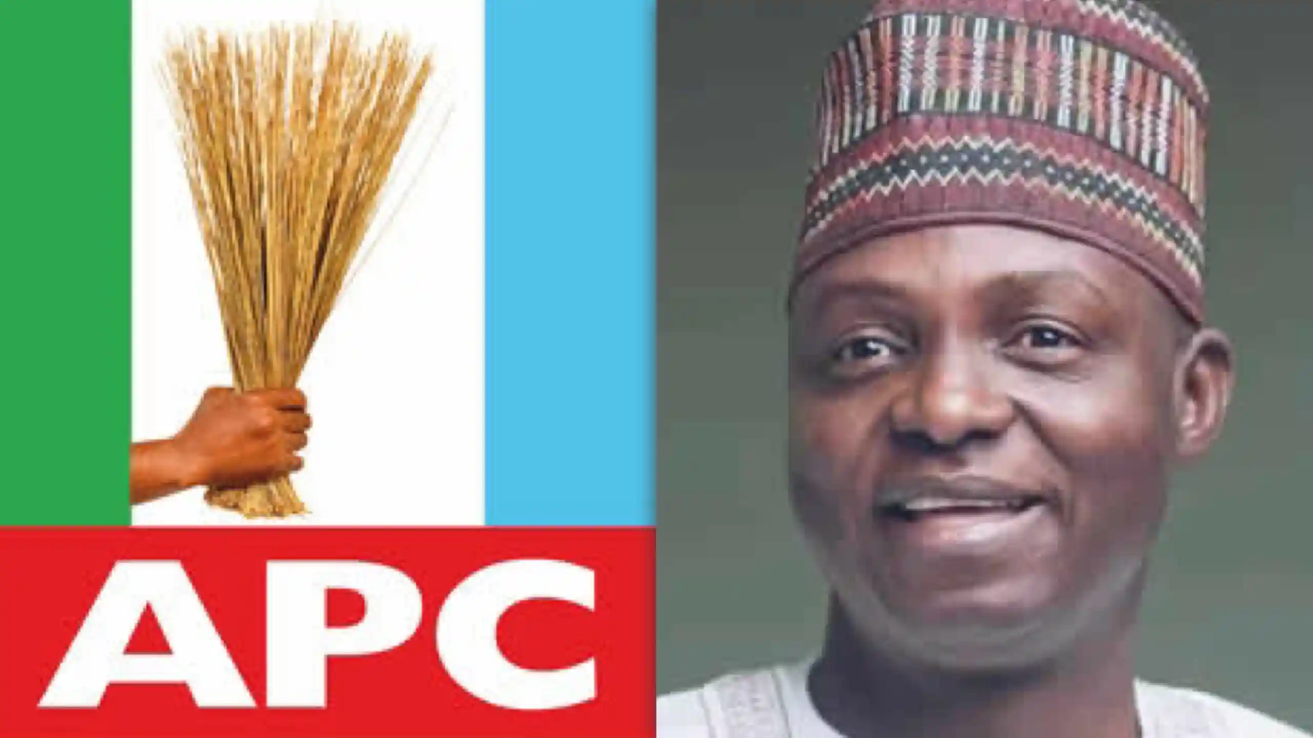 Primaries Fallout: APC Governors Plot Showdown With National Chairman Before 2027