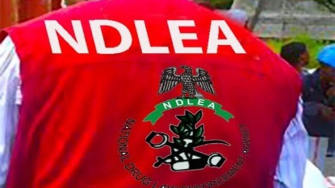 NDLEA Records Major Breakthrough with ₦10bn Cocaine Seizure, Recovers 401 Military-Grade Ammunition