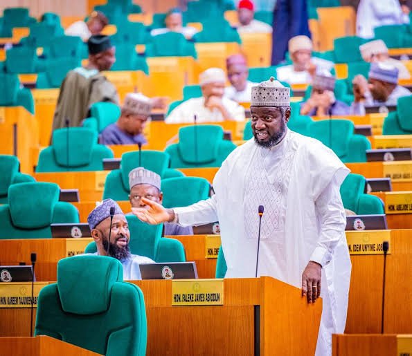 Reps order IG to produce ‘fake, agency DG Adeyemi within 48 hours