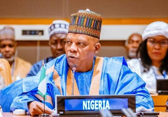 Shettima sets delivery targets for SWDC on roads, jobs