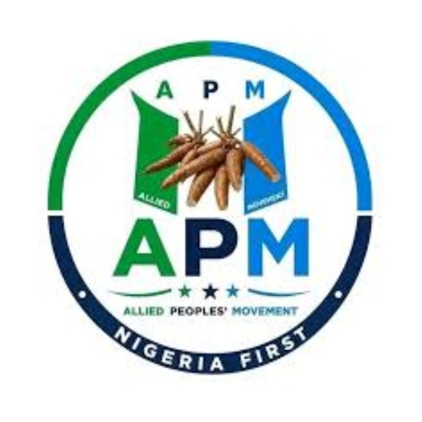 Nigerians deserve dividends of democracy not carnage – APM to govt